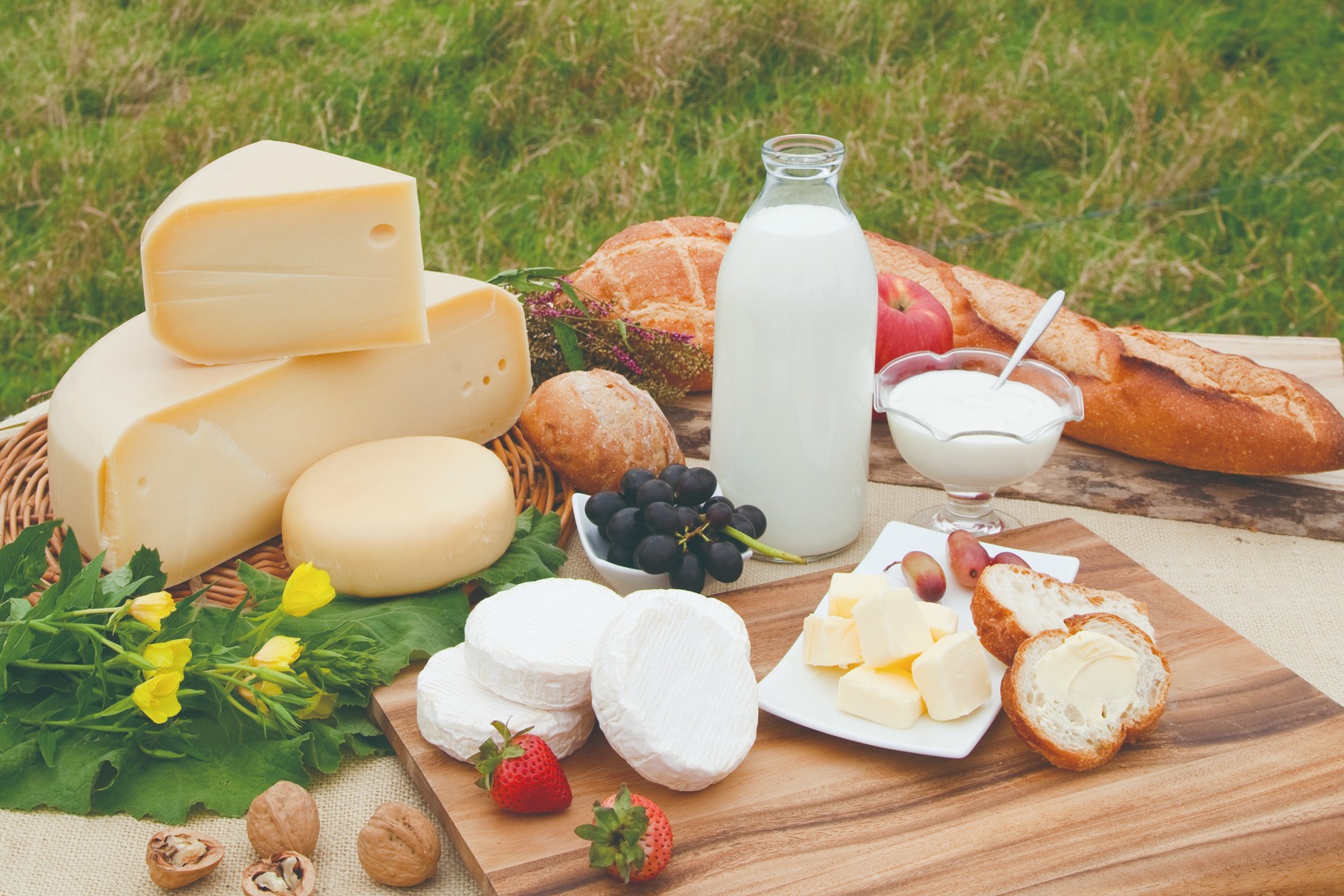 雪印メグミルク株式会社