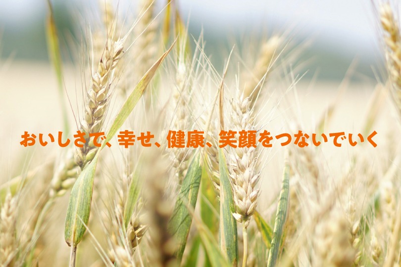 株式会社ニップン