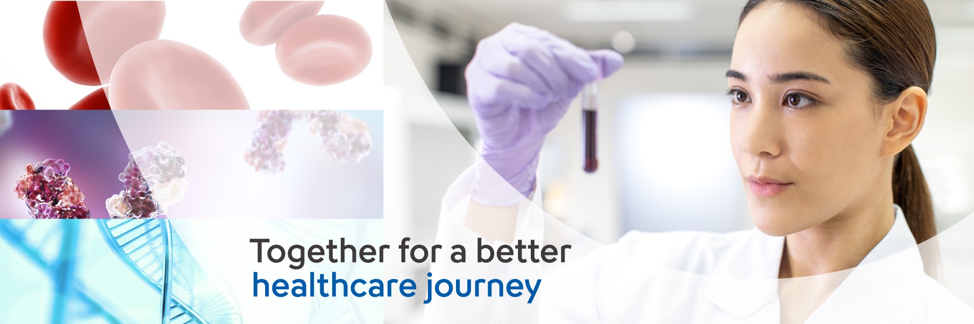 シスメックス株式会社