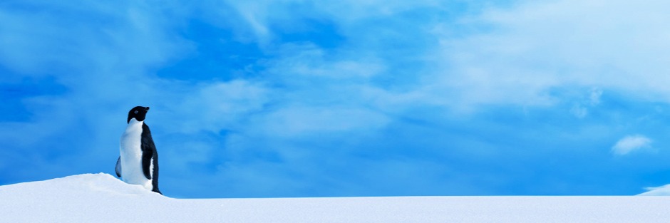 ホシザキ株式会社