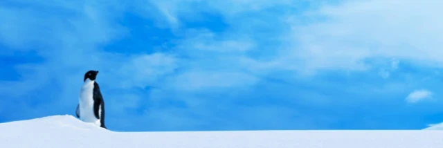 ホシザキ株式会社