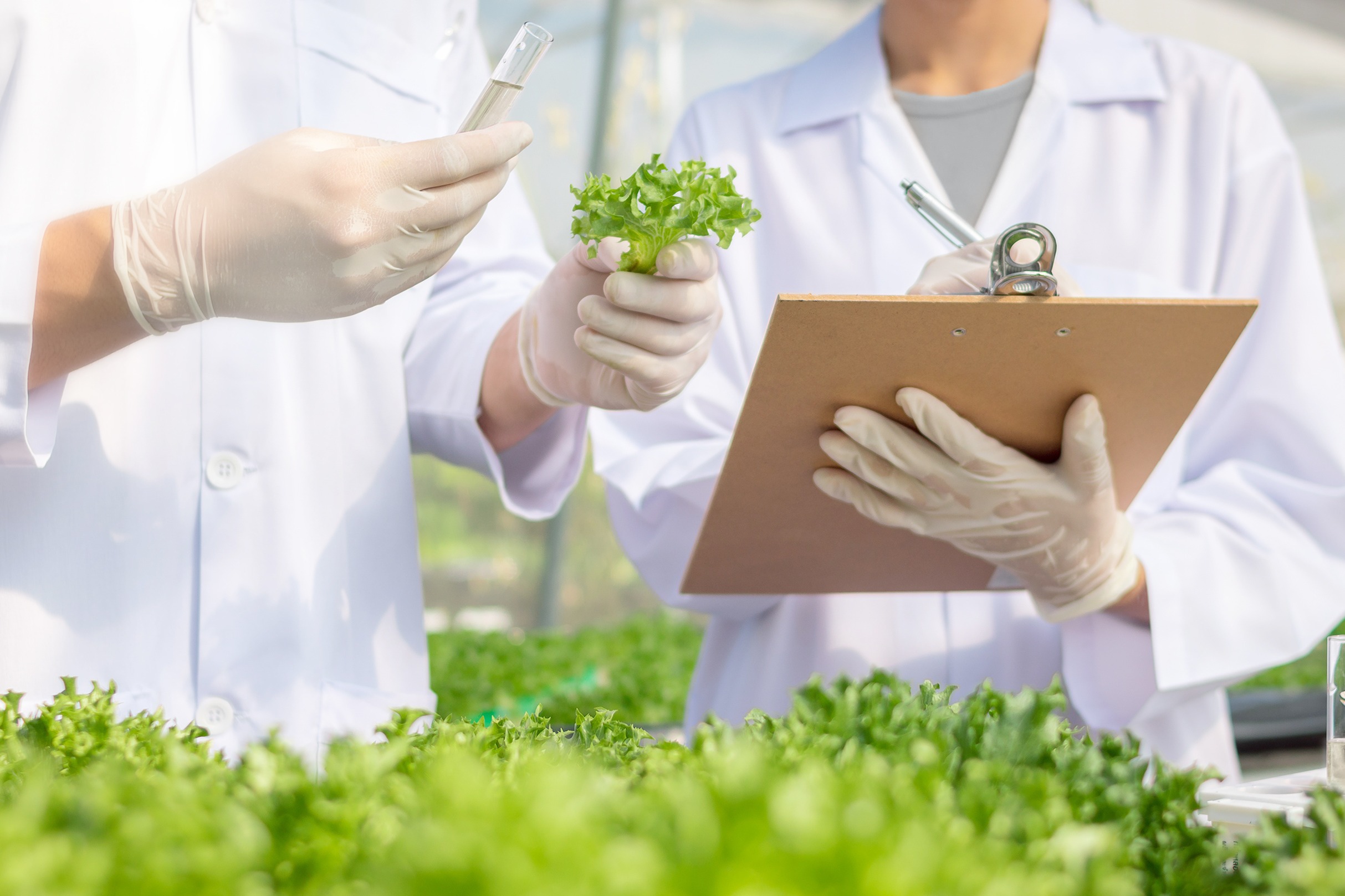 クミアイ化学工業株式会社