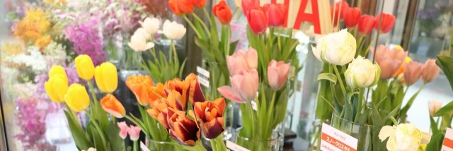 株式会社大田花き