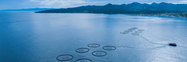 株式会社オカムラ食品工業