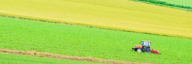 日本甜菜製糖株式会社