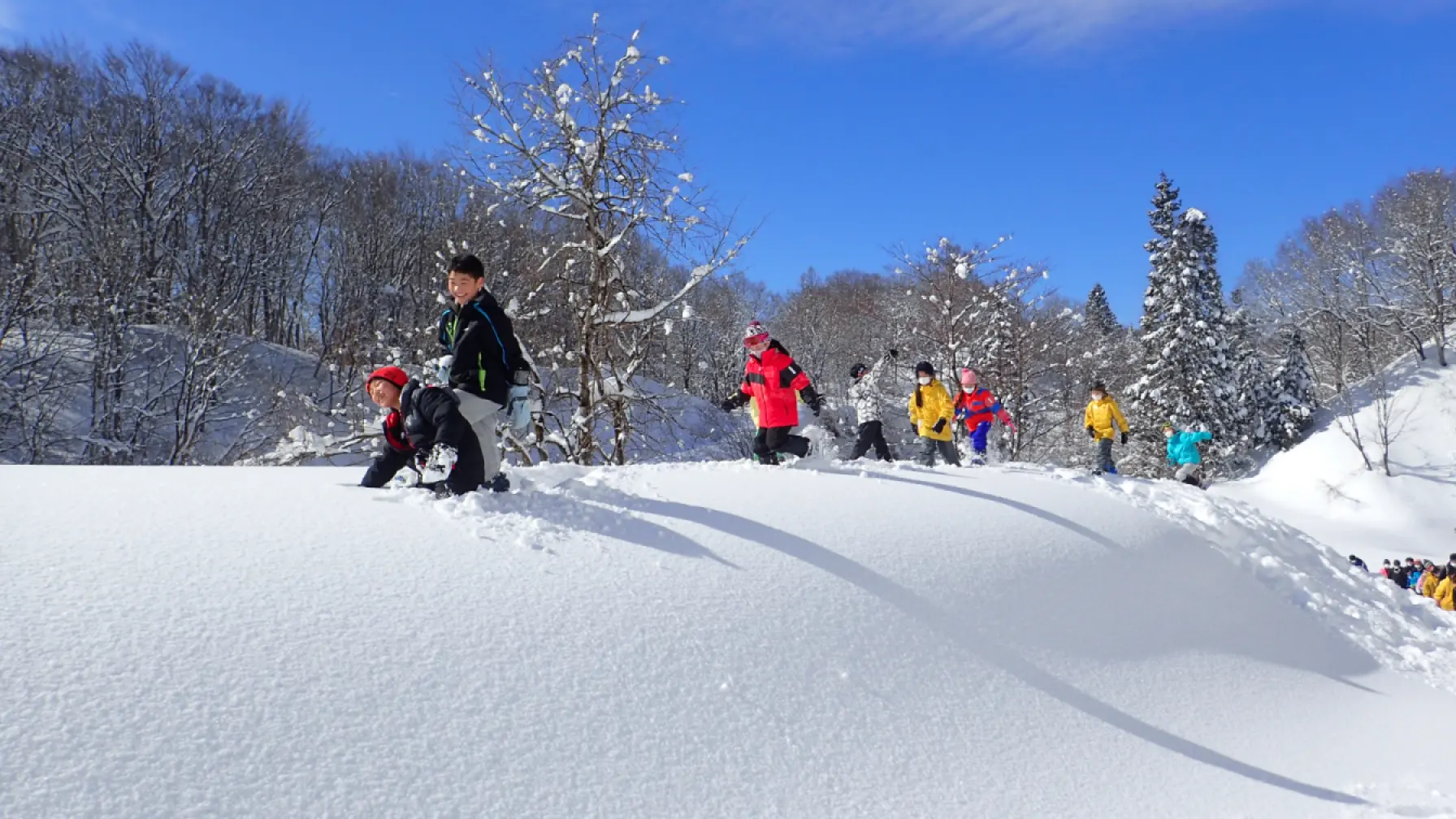 「捕獲せよ！豪雪の上を歩く謎のムシ「雪虫」」 -里山の自然科学館で生物多様性を調べる探求学習の旅-リアルイベント thumbnail