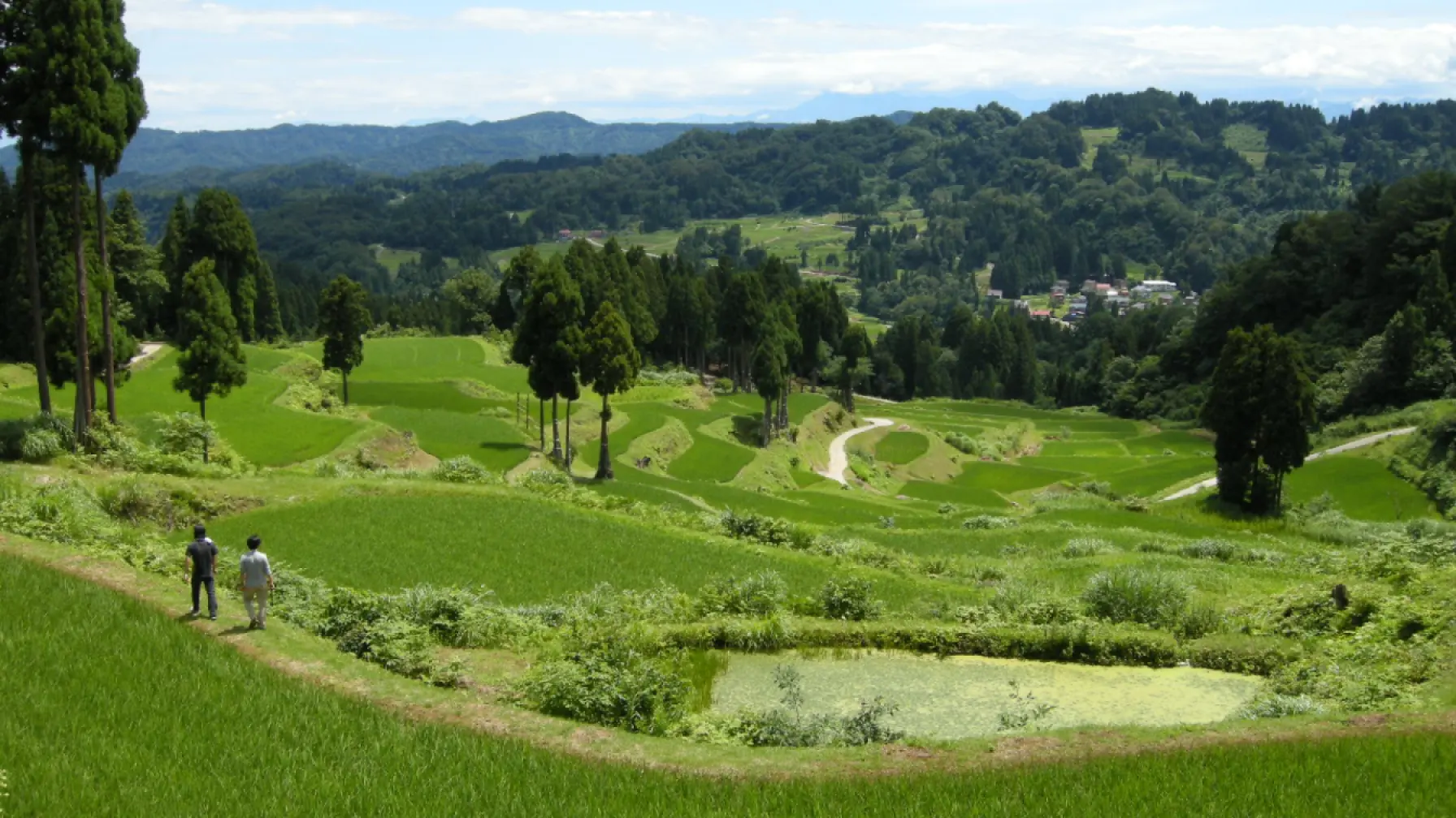 サムネイル 3: 【オンライン講座】夏の里山いきものラボ！ -夏休みの自由研究に！雪国の里山の生物多様性を学ぼう- （アーカイブ配信あり）　主催 新潟県十日町市
