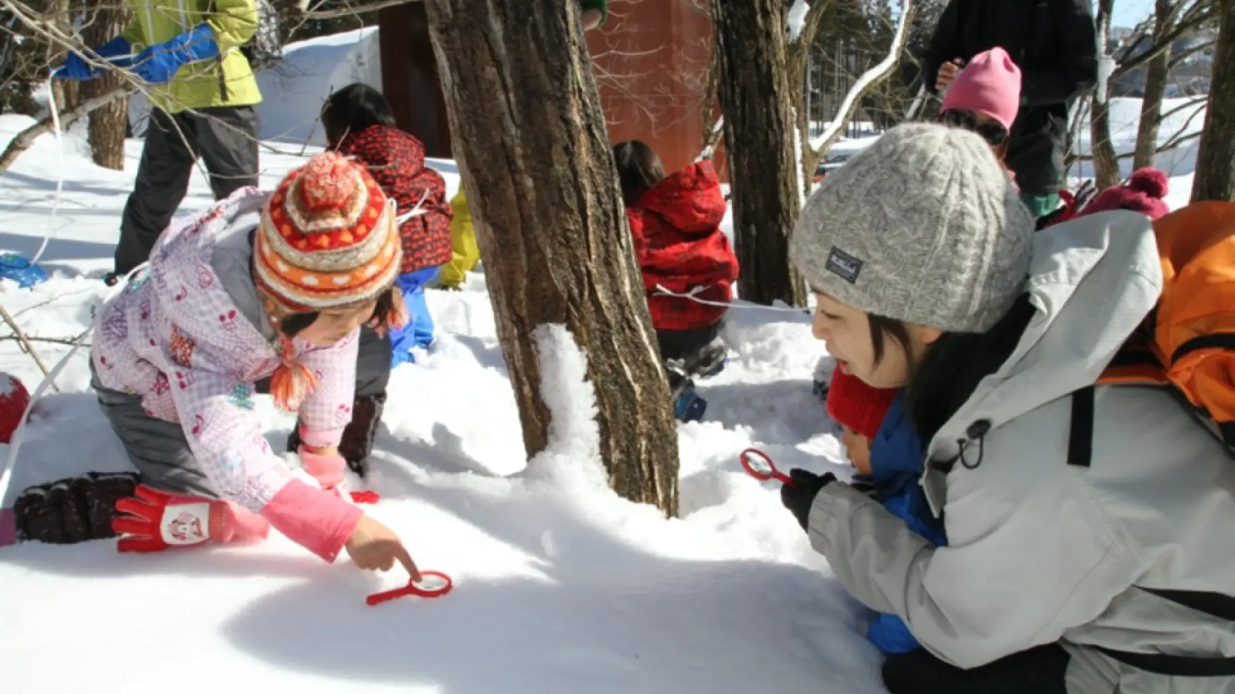 サムネイル 3: 「捕獲せよ！豪雪の上を歩く謎のムシ「雪虫」」 -里山の自然科学館で生物多様性を調べる探求学習の旅-リアルイベント
