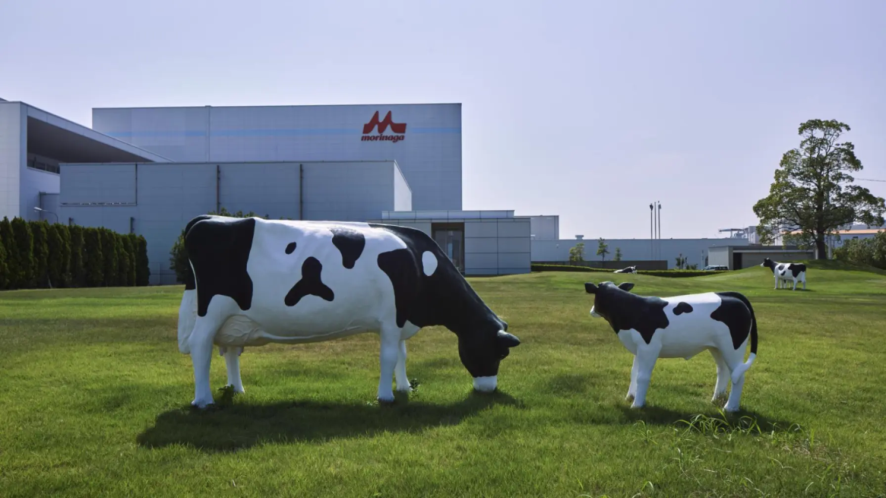 サムネイル 2: 【オンライン工場見学】森永乳業株式会社　Morinaga Smile Factory