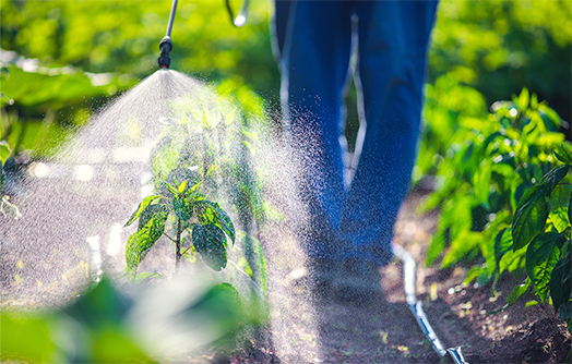 画像：業種：会社が行う事