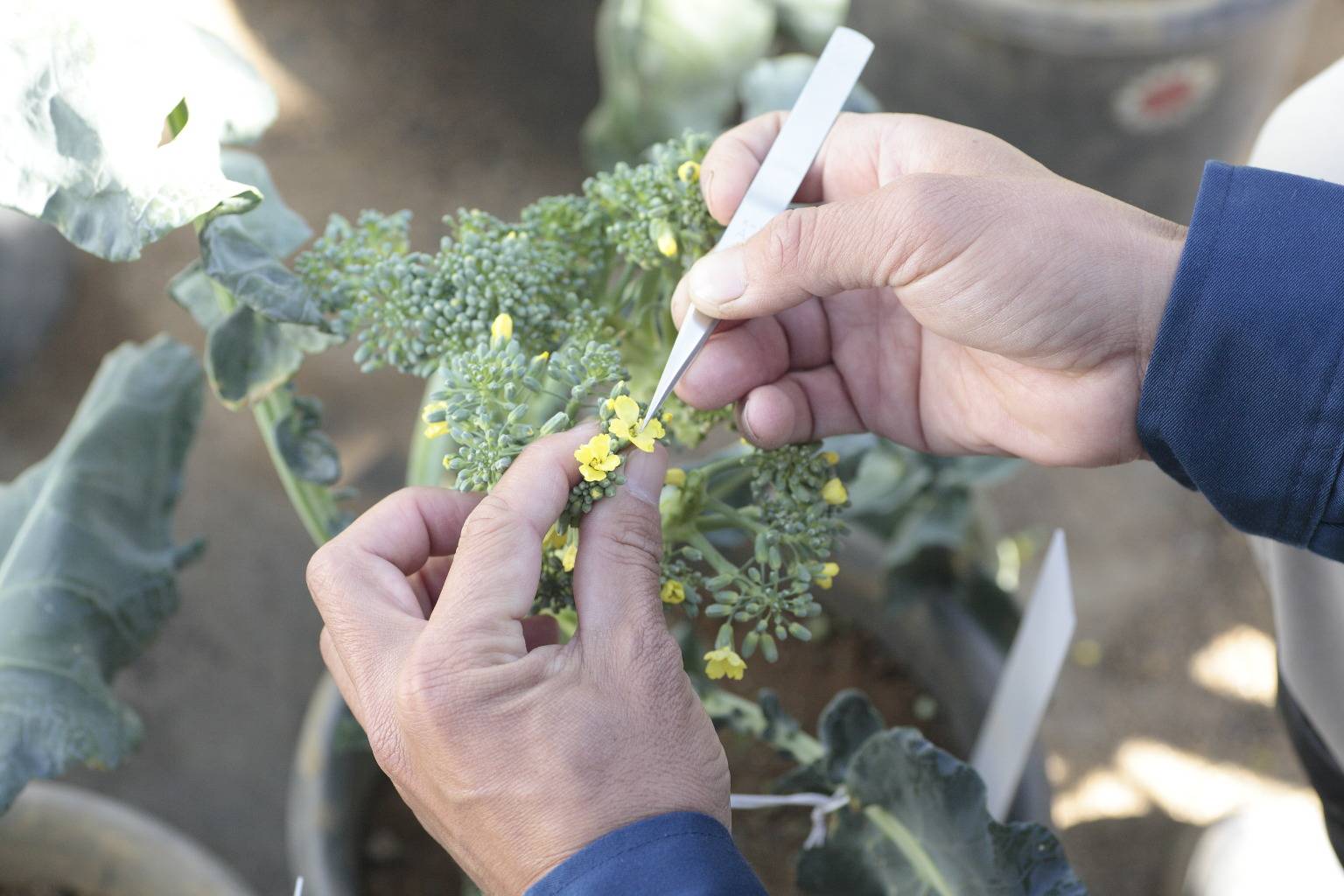 画像：業種：会社が行う事