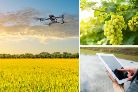 画像：業種：会社が行う事