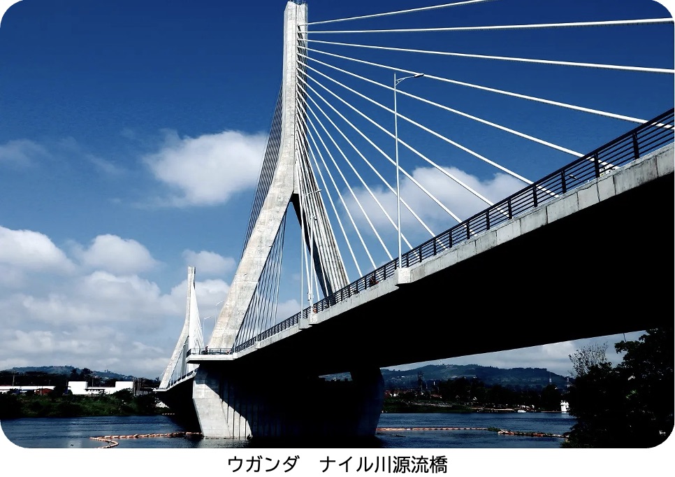 画像：業種：会社が行う事