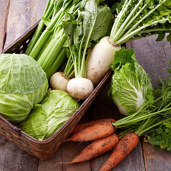 画像：業種：会社が行う事