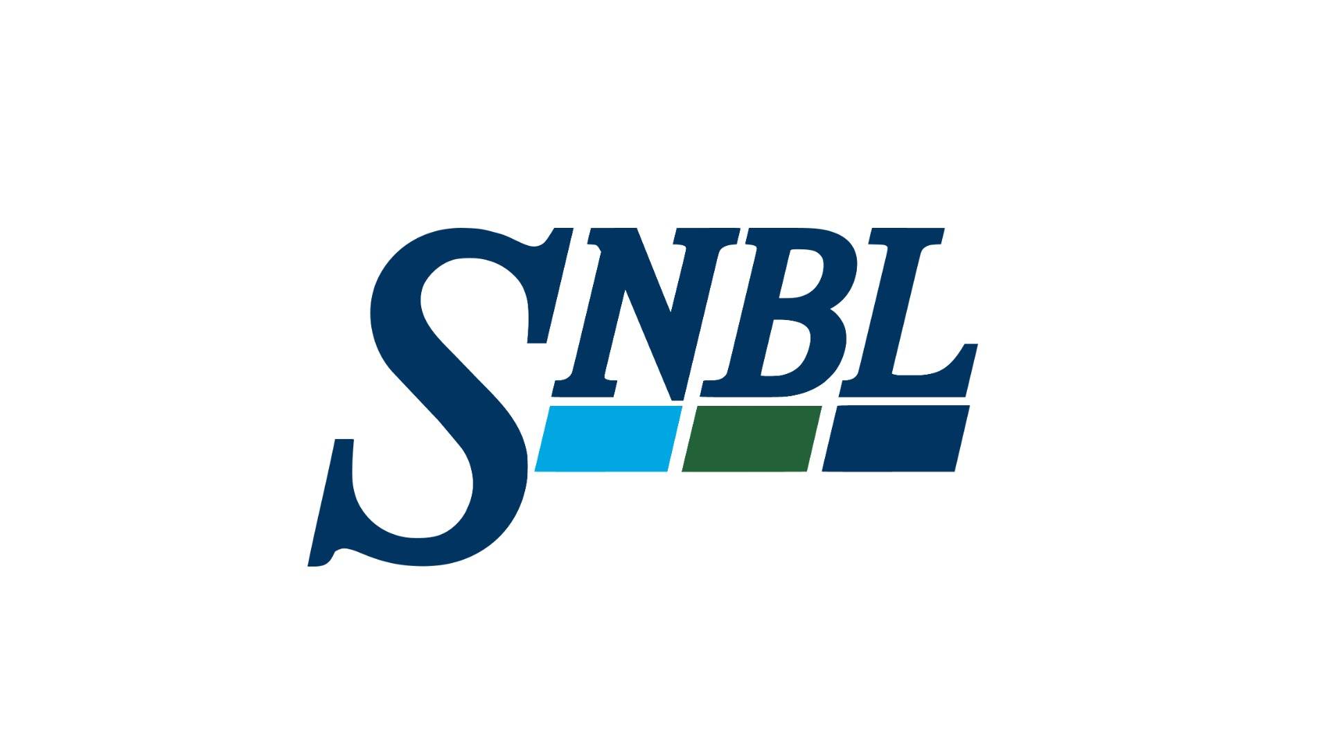 ロゴ 株式会社新日本科学