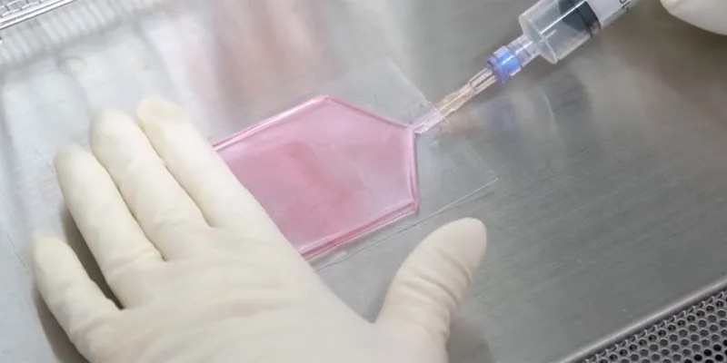 サステナビリティ画像4:東洋製罐グループホールディングス株式会社