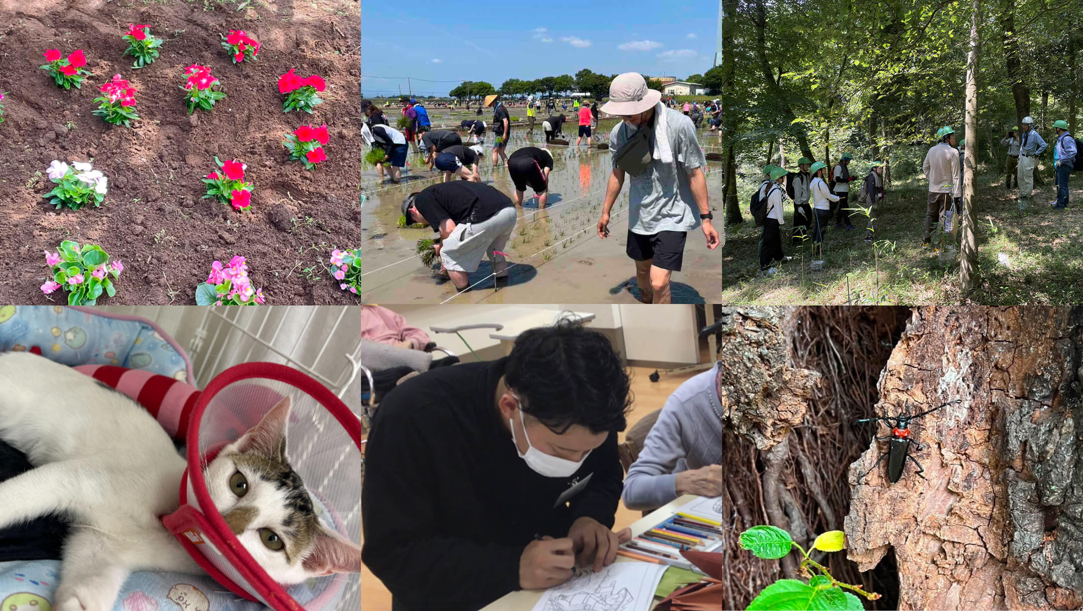 サステナビリティ画像1:株式会社ナスタ