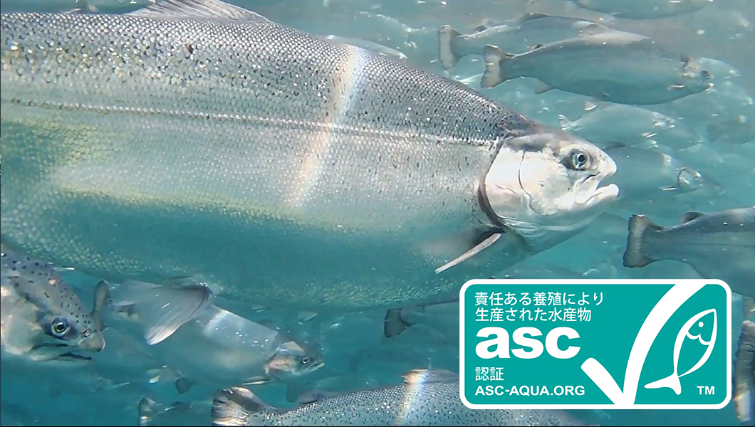 サステナビリティ画像1:株式会社オカムラ食品工業