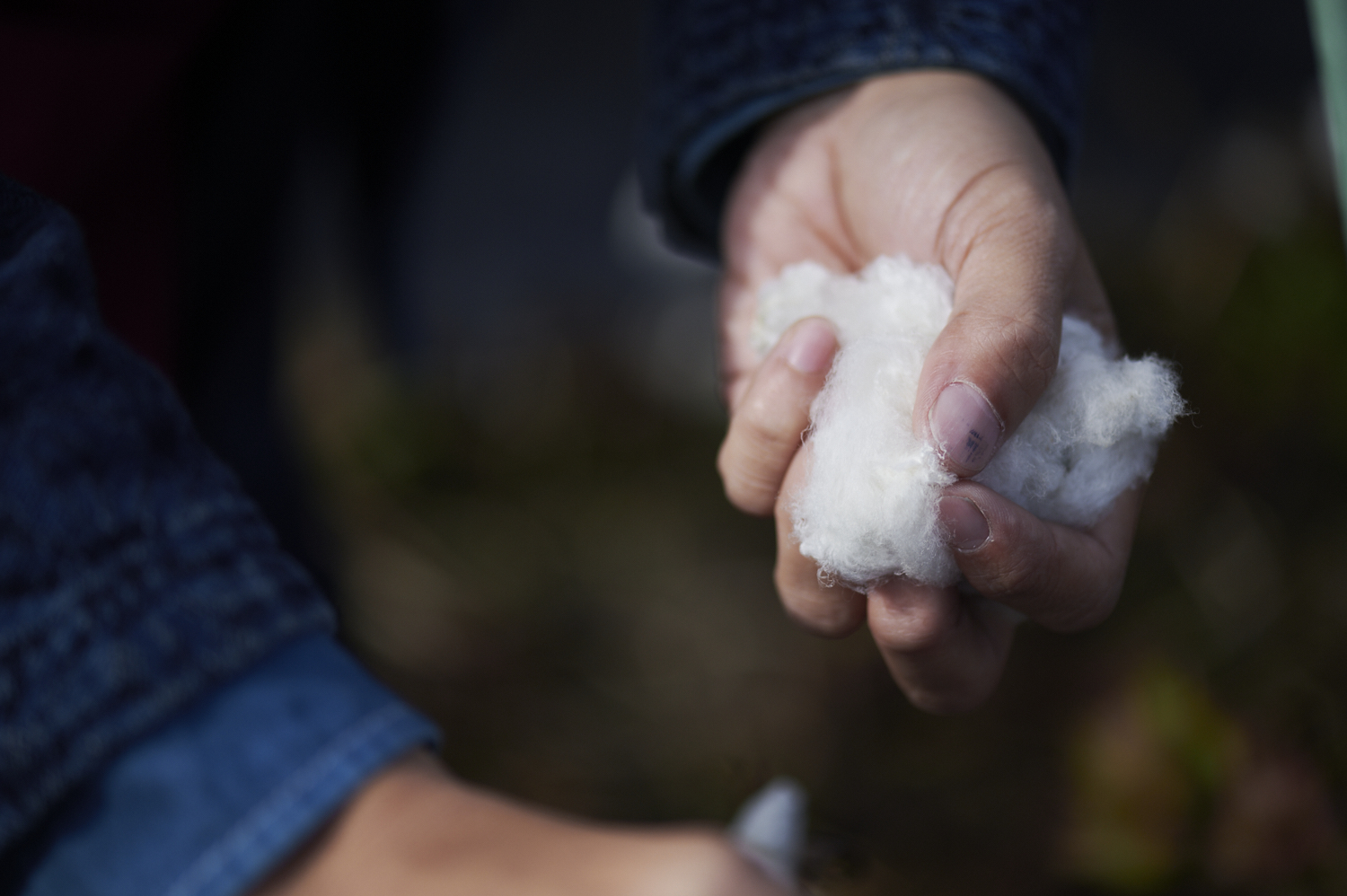 サステナビリティ画像1:タビオ株式会社