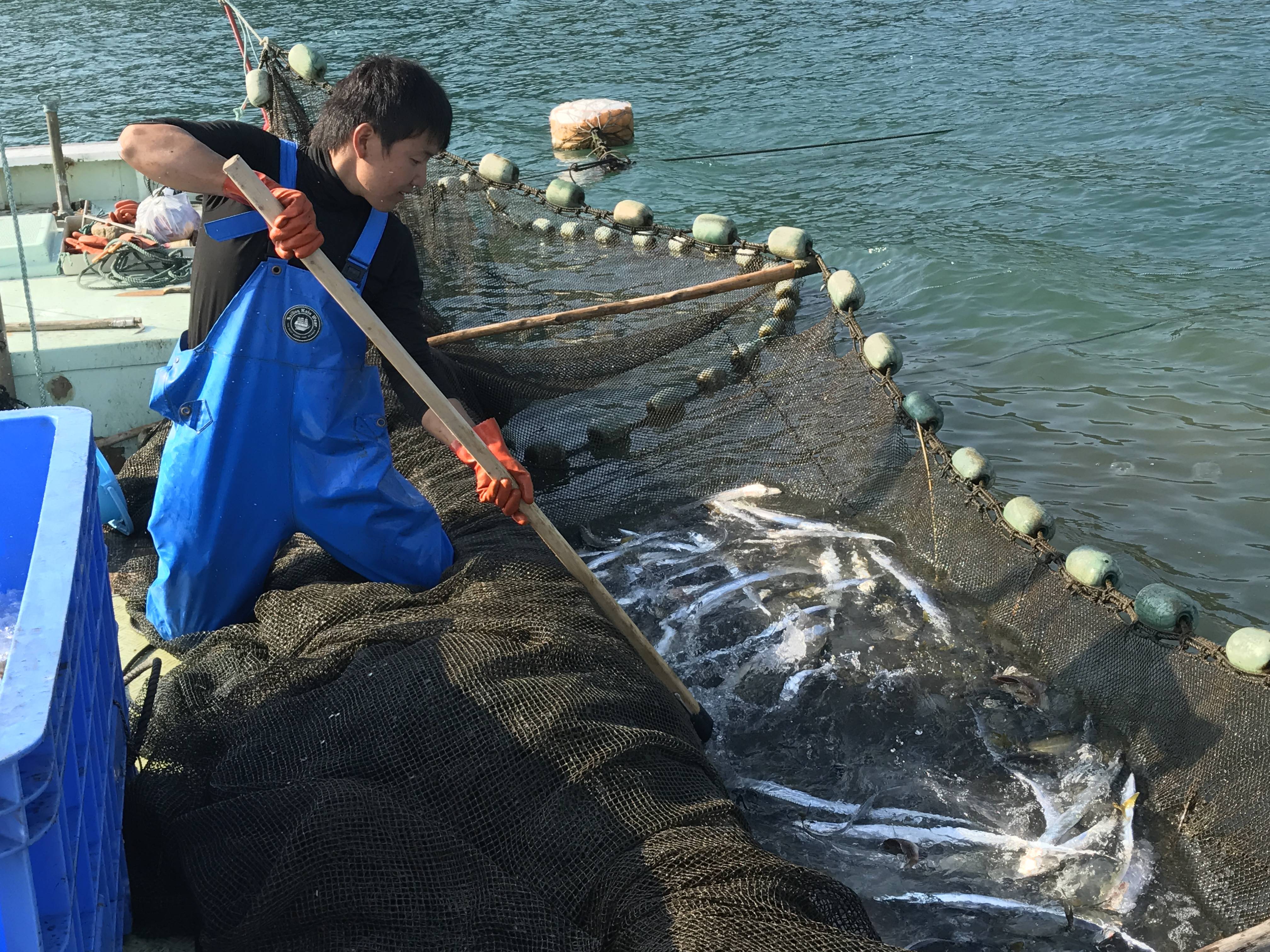 サステナビリティ画像1:くら寿司株式会社