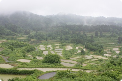 サステナビリティ画像1:株式会社ヤマタネ