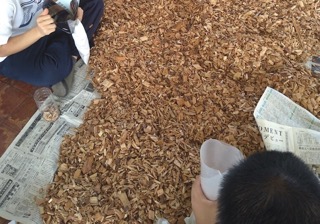 サステナビリティ画像4:東急リゾーツ＆ステイ株式会社