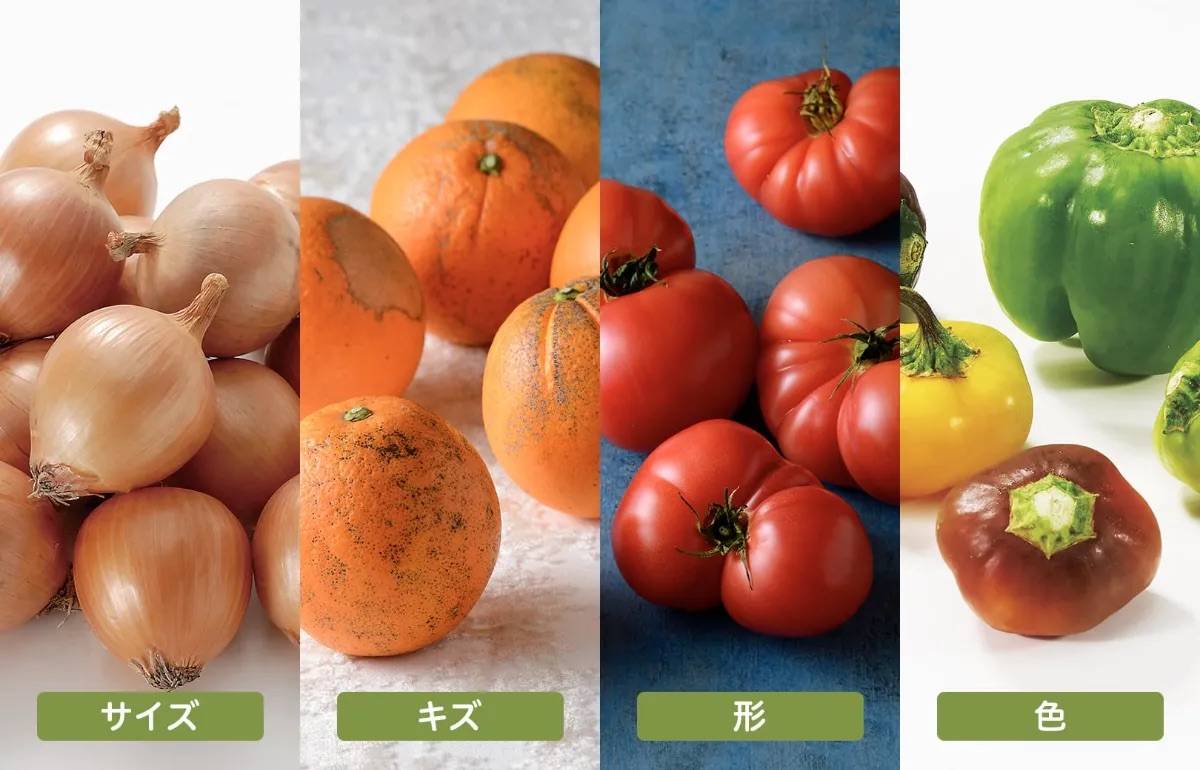 サステナビリティ画像1:オイシックス・ラ・大地株式会社